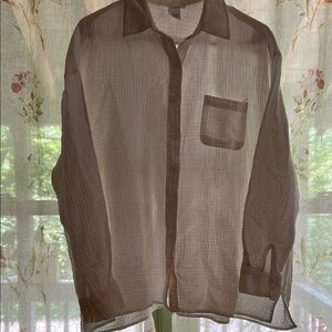 Chic Sheer Button-Up Blouse